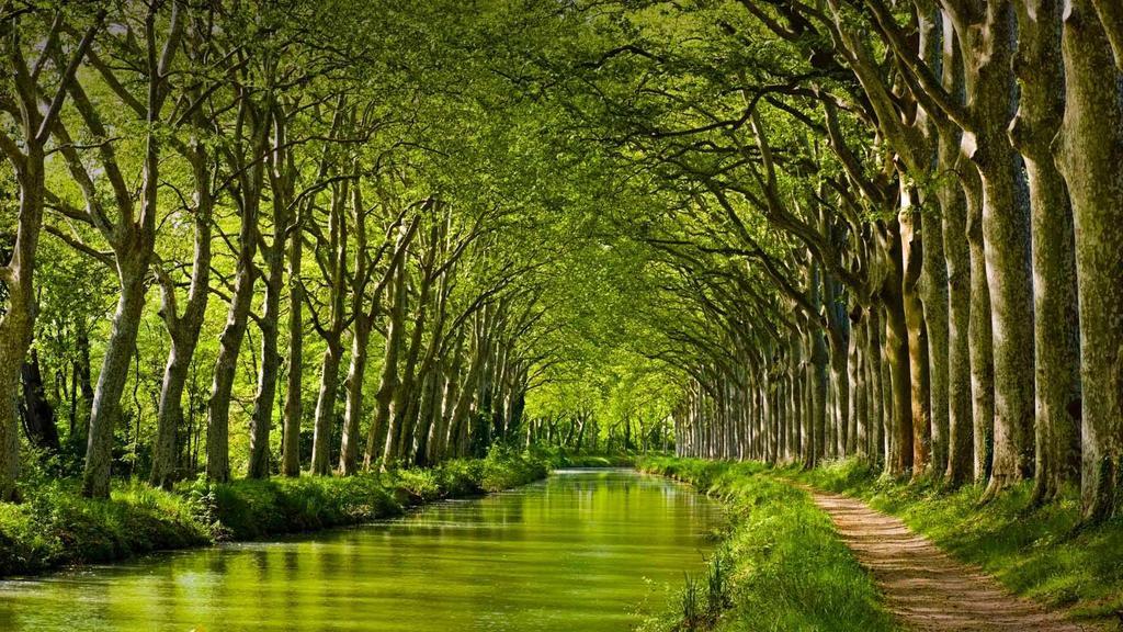 Gite La Chartreuse Du Canal Du Midi Toulouse Exteriér fotografie